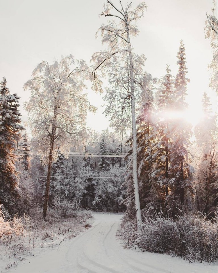 Дивовижна природа Аляски - 8