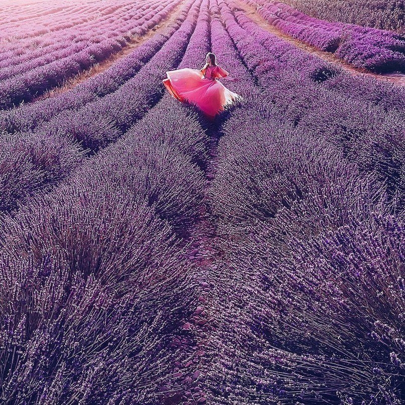 Лавандовый Прованс - 9