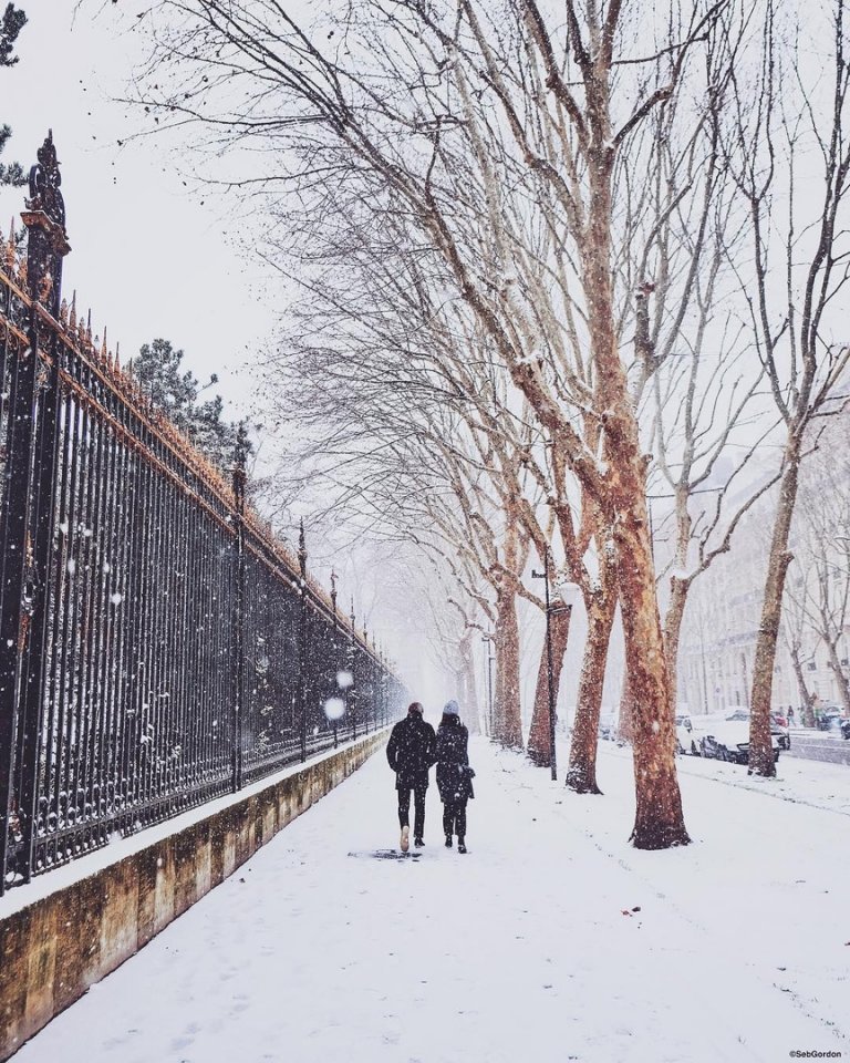 Unique Snowy Paris - 6