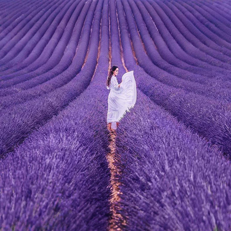 Лавандовый Прованс - 6