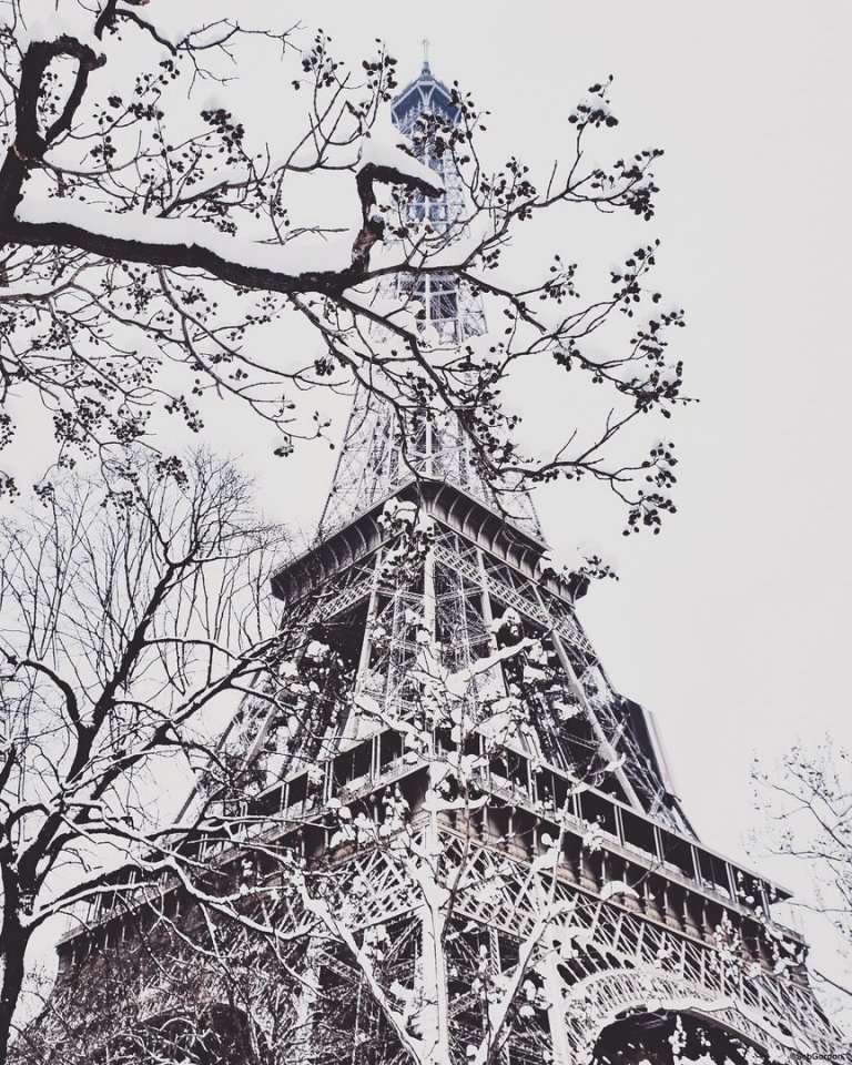 Unique Snowy Paris - 8