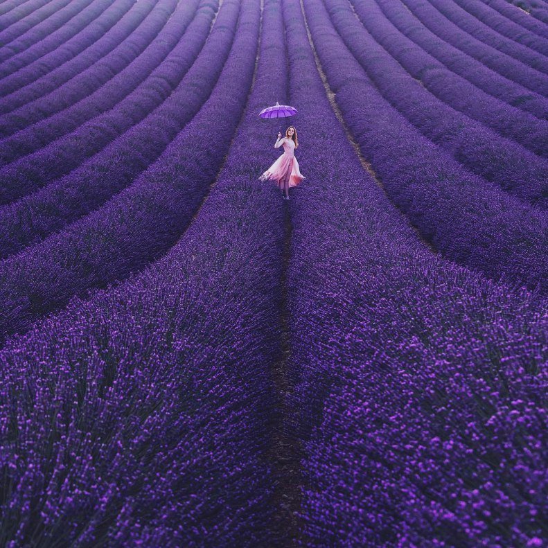 Лавандовый Прованс - 8