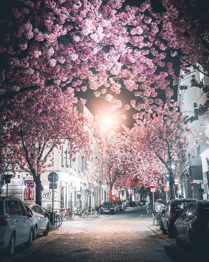 Цветущая Германия