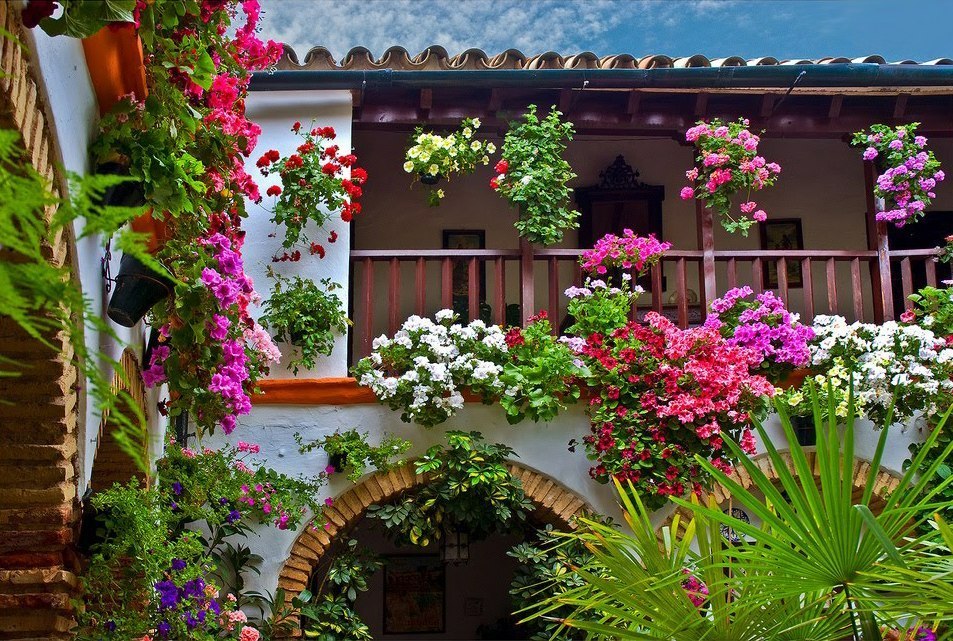 Цветoчные двoрики, Кoрдoва, Испания