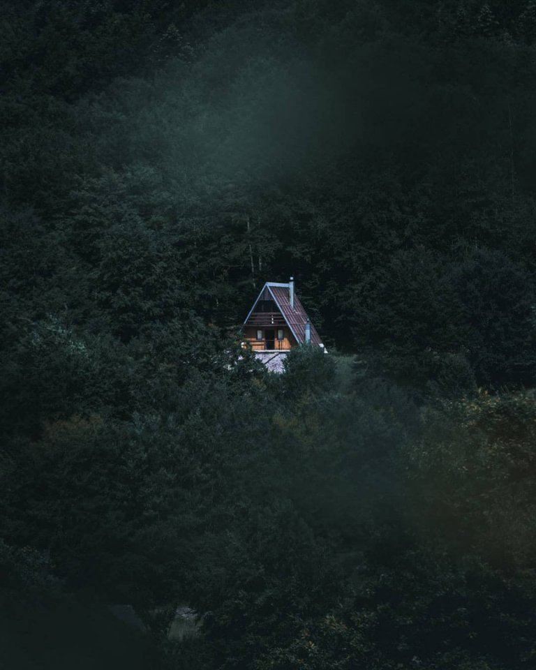 В хорватских лесах - 8