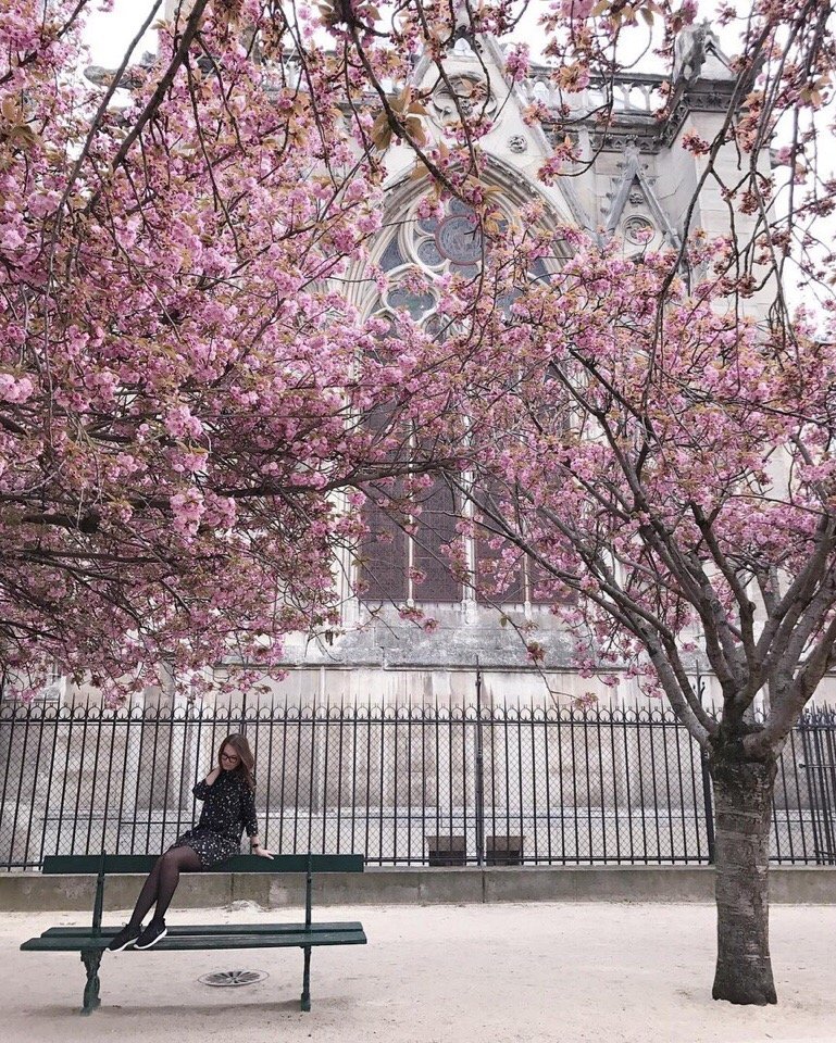 Цветущий Париж