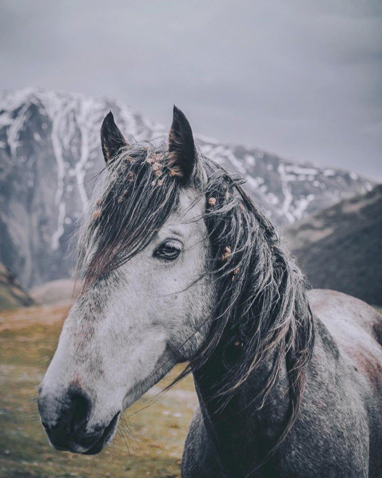 Go to Georgia if you want to reboot - 7