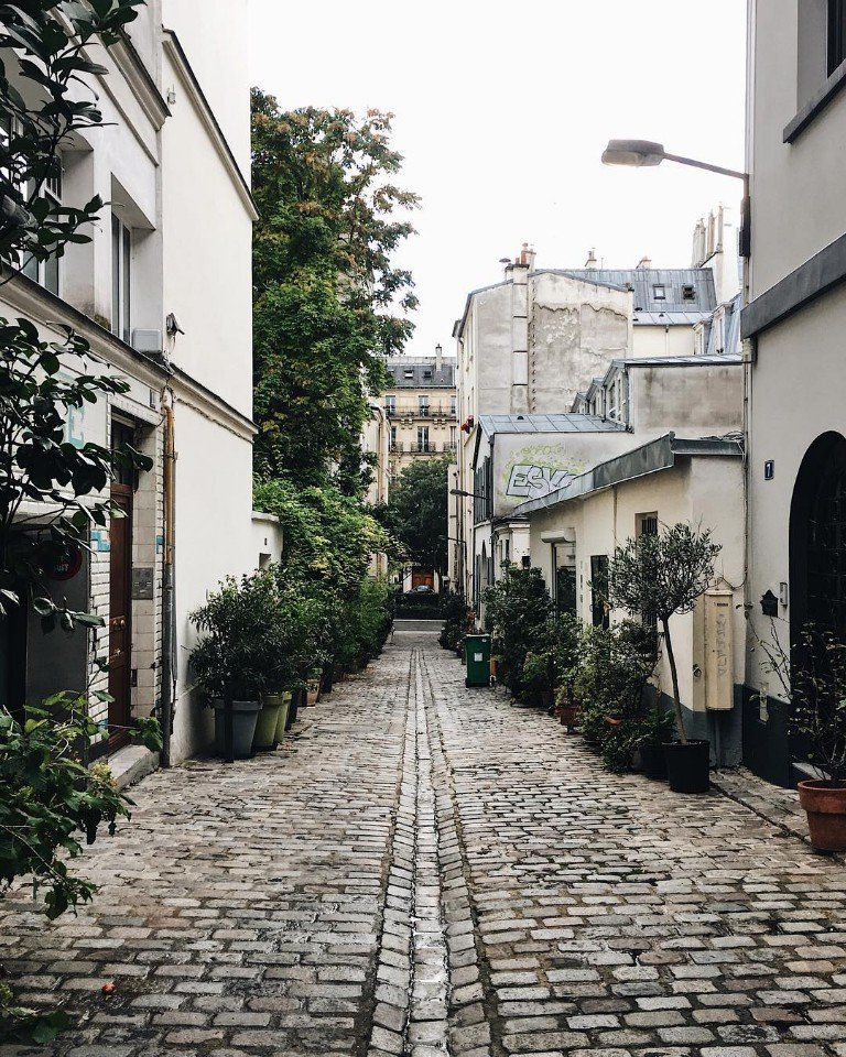 Париж прекрасен в любое время года - 5