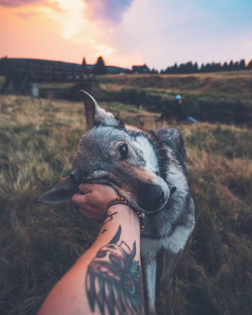 Так выглядит искренняя любовь - 7