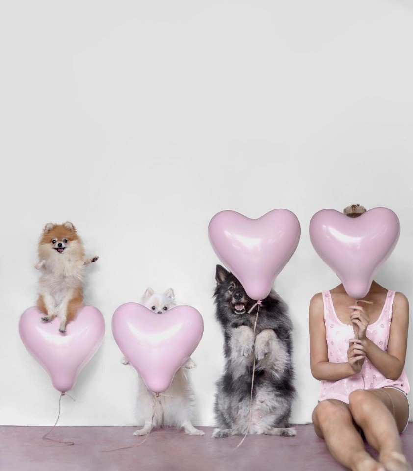 Веселая фотосессия хозяйки и её питомцев - 6