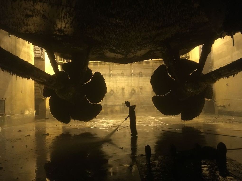 Финалисты конкурса фотографии Smithsonian - 6