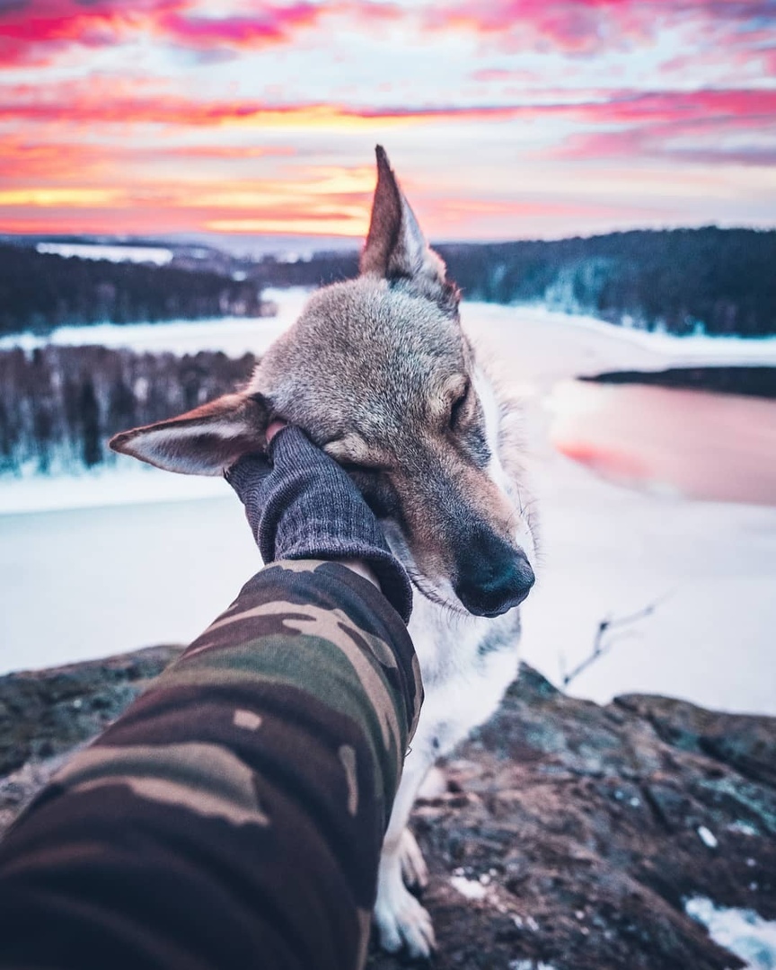 Так выглядит искренняя любовь - 5