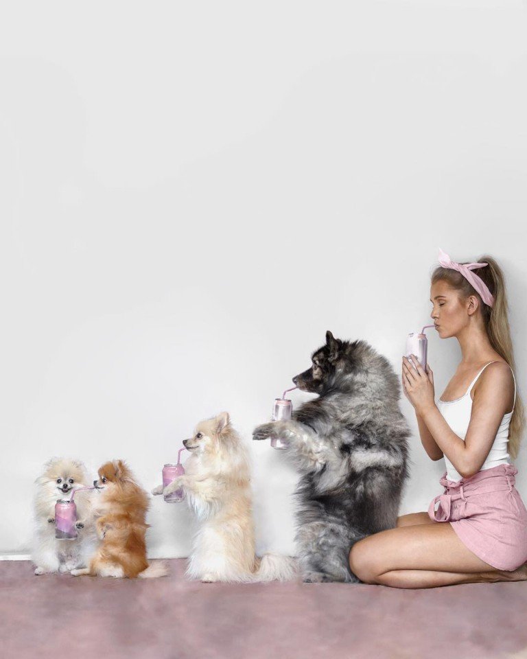 Веселая фотосессия хозяйки и её питомцев - 5