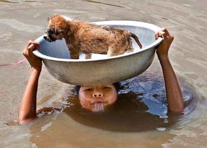 Доброта спасет мир! - 7