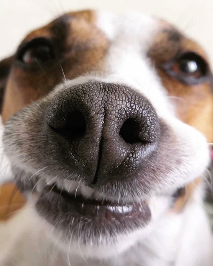 Л - любопытство - 6