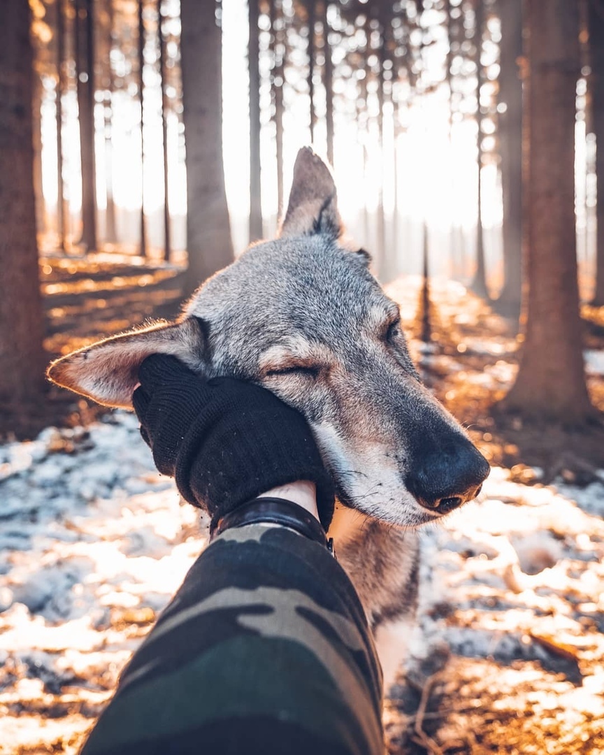 Так выглядит искренняя любовь - 8