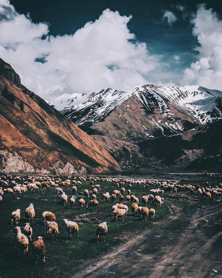 Go to Georgia if you want to reboot - 6