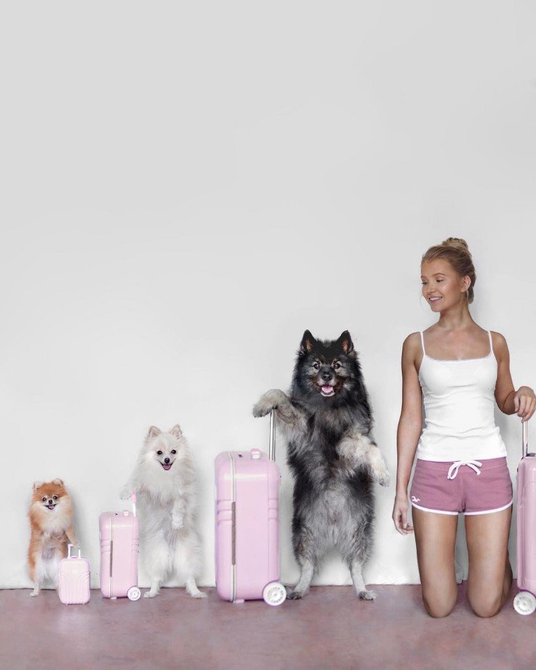 Веселая фотосессия хозяйки и её питомцев