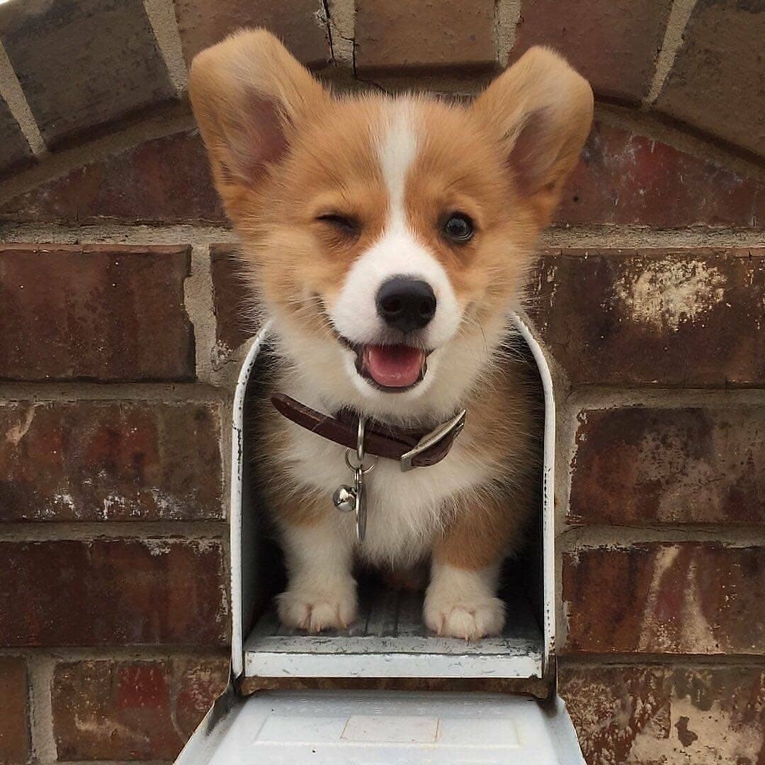 Жизнь улыбается тому, кто ей рад! - 5