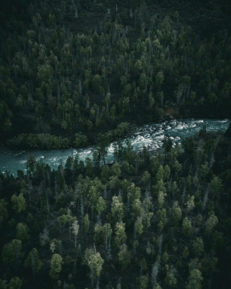 Аляска - это не только снежные просторы