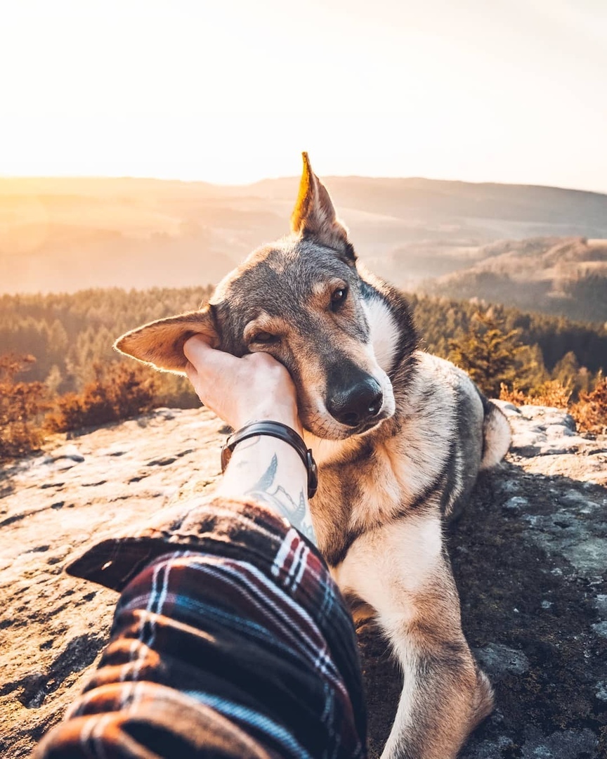 Так выглядит искренняя любовь