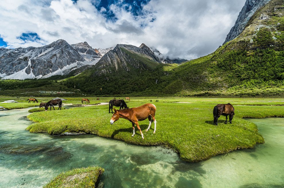 Умиротворенная природа Китая - 5