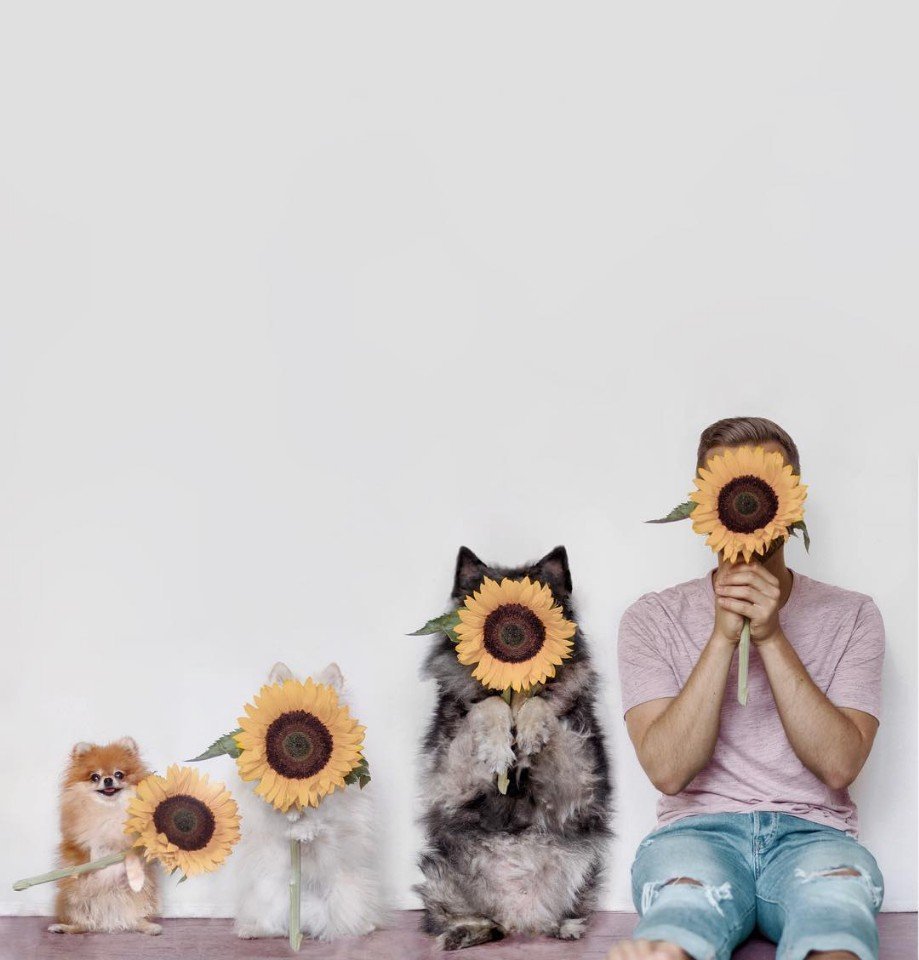 Веселая фотосессия хозяйки и её питомцев - 8
