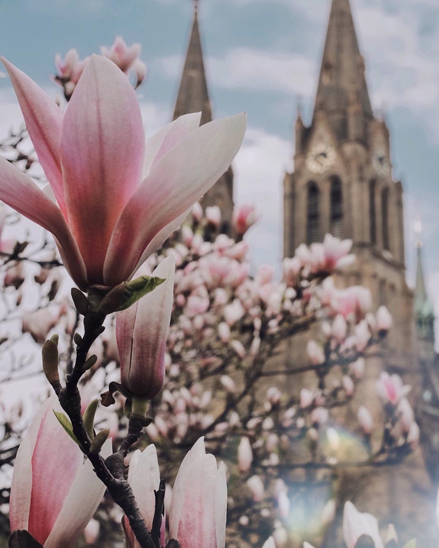 Прaгa, Чeхия - 8