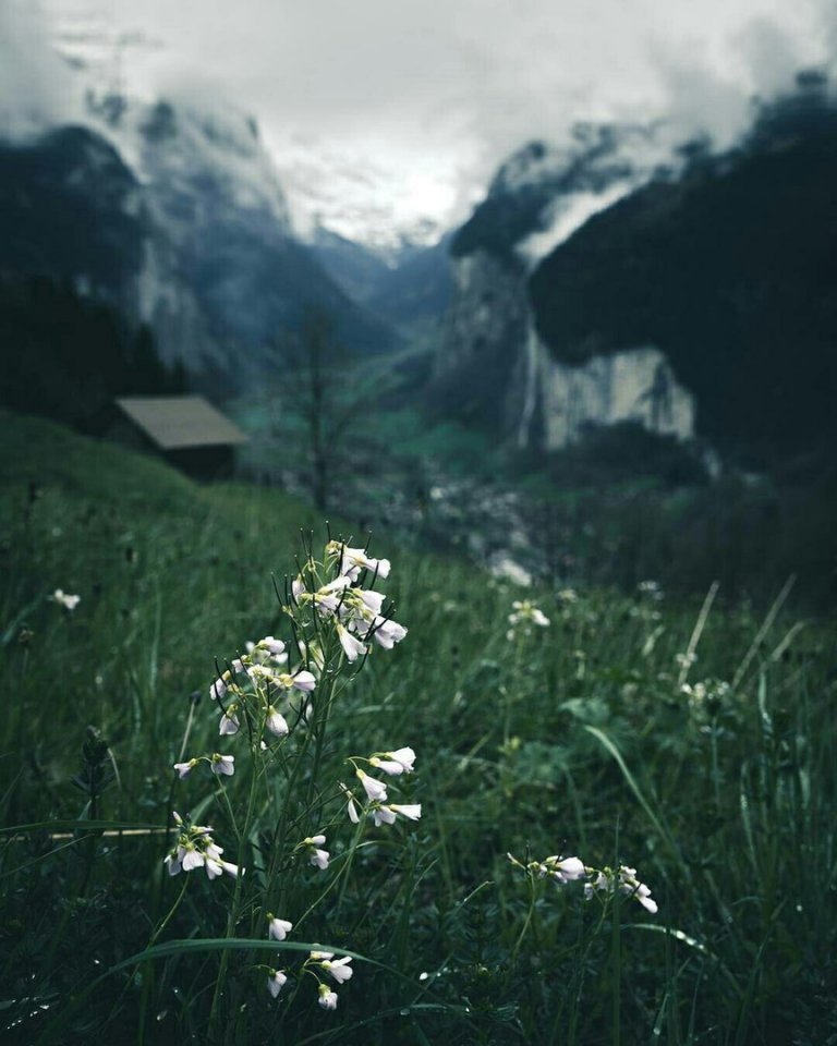 Хмурая Швейцария - 5