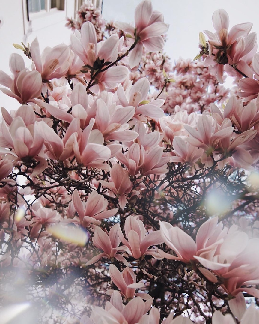 Прaгa, Чeхия - 9