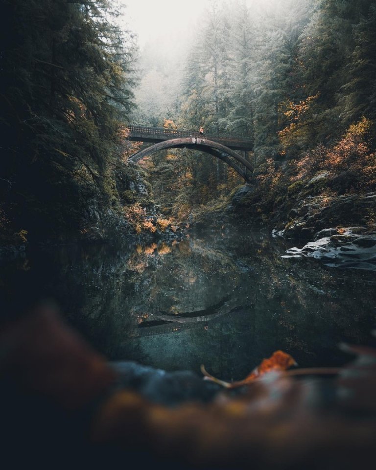 Умиротворение лесов Вашингтона, США