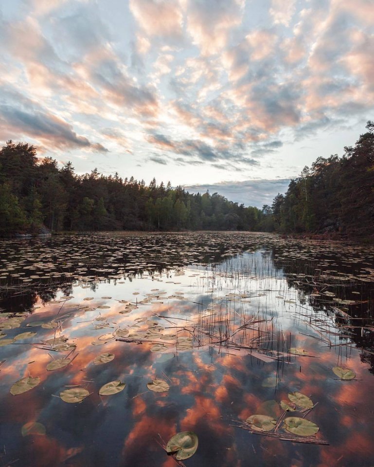 Тихая природа Швеции