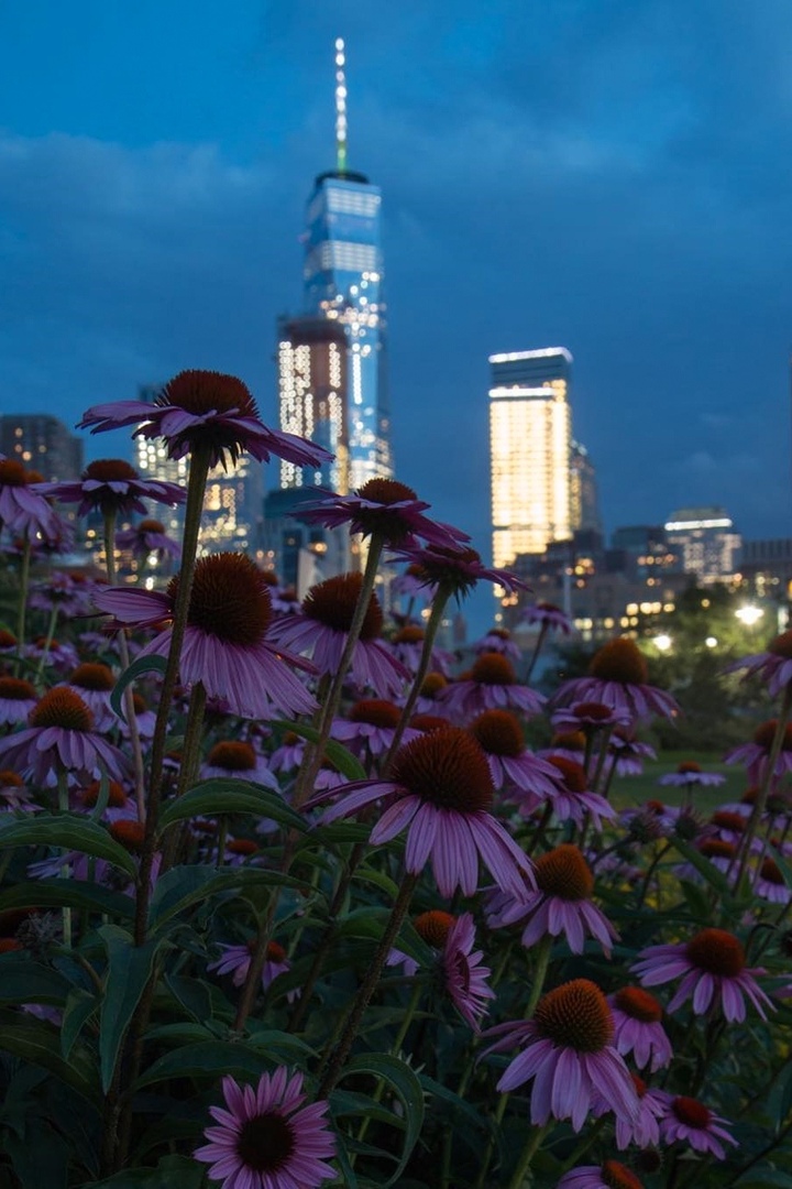 Вечерний Нью-Йорк, США