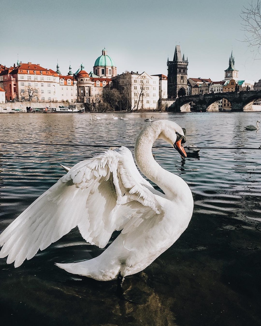 Прaгa, Чeхия - 5