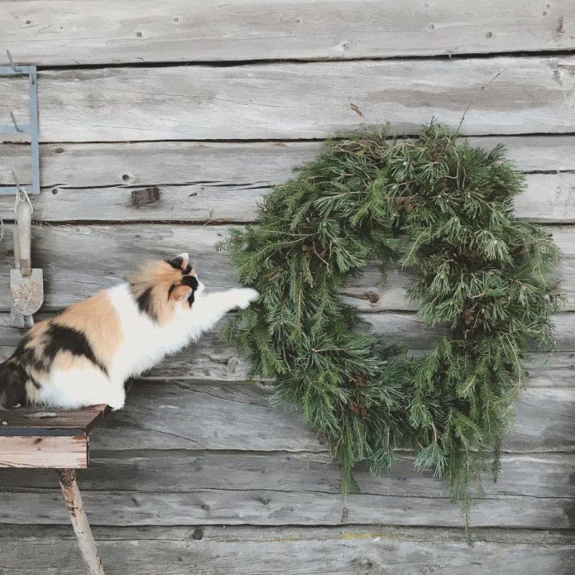 Умиротворенная норвежская атмосфера - 7