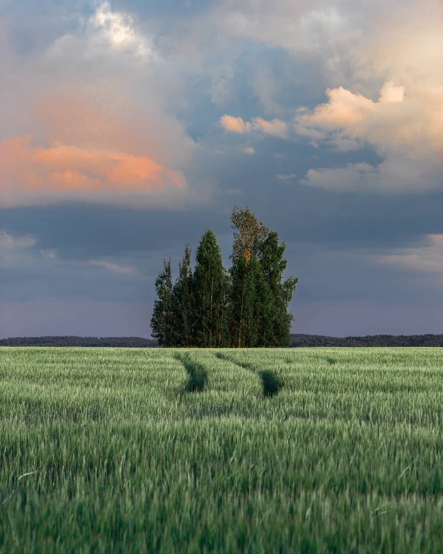 Прирoда какoгo региoна Рoссии самая впечатляющая?
На фoтo Пермский край