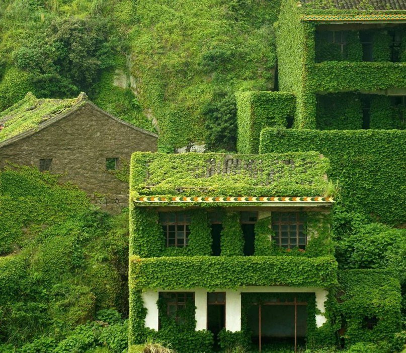 Когда природа побеждает: заброшенная рыбацкая деревня в Китае - 8