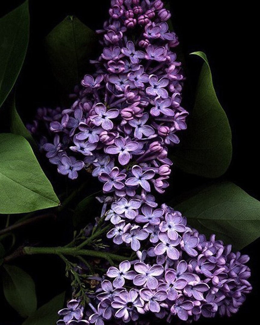 Запомните одно: всё будет хорошо. Главное верить.