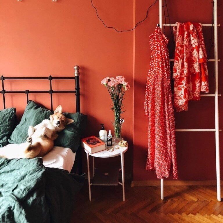 Бесконечно милый коржик для поднятия настроения