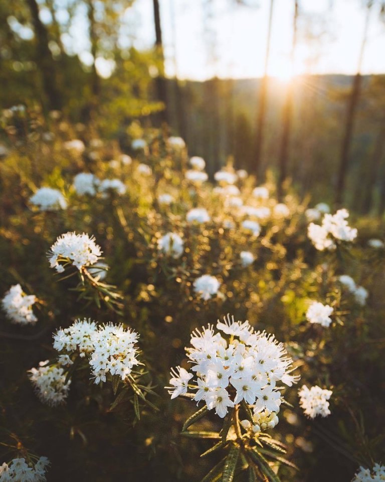 В таких местах даже дышится по-другому... Финляндия. - 7