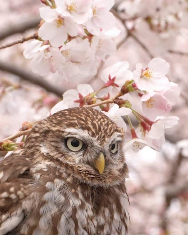 К вам притягивается и от вас исходит только то, что соответствует вашему внутреннему состоянию. 

Экхарт Толле