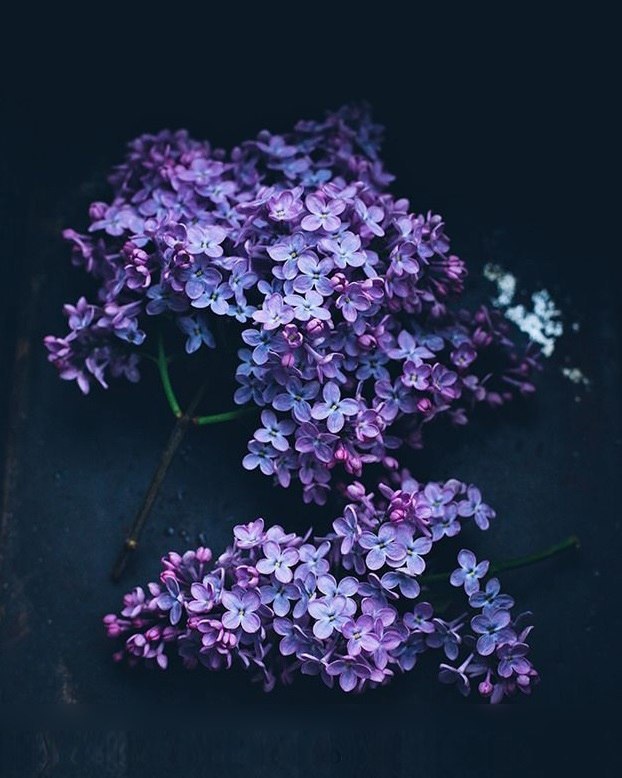 Запомните одно: всё будет хорошо. Главное верить. - 5