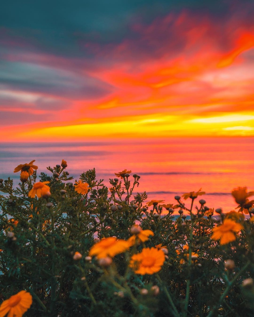 Изумительные закаты на побережье Сан-Диего