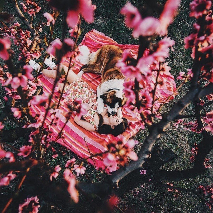 Теплый Крым - 6