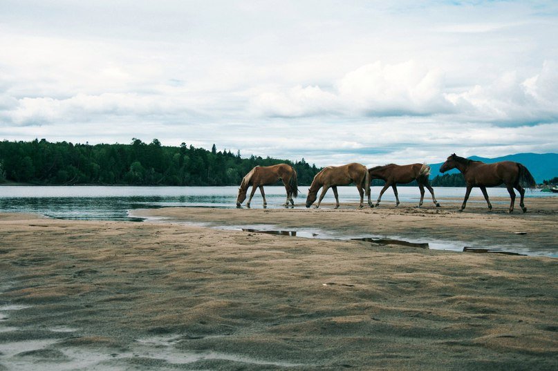 Байкал - жемчужина России - 8