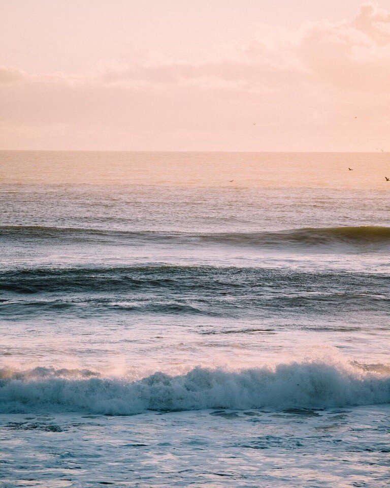 Морская свежесть Калифорнии - 6