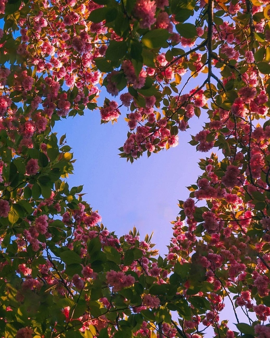 Пусть счастье не оставит нас в покое.