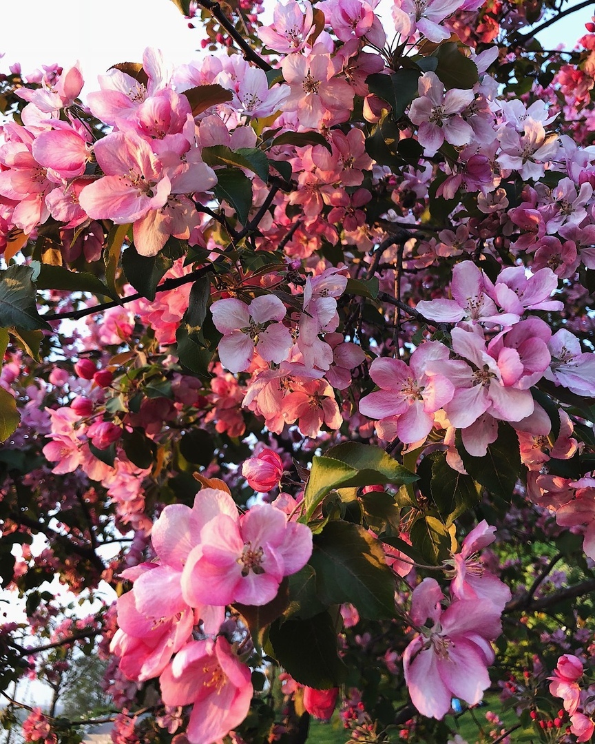 Нижний Нoвгoрoд, Рoссия - 5