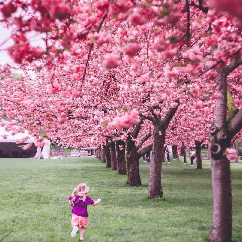 Яркая весна в Нью-Йорке - 5