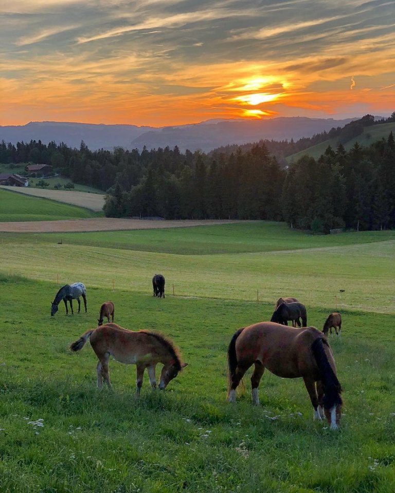 Switzerland is for the soul - 8